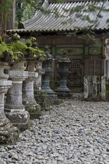 Fototapeta premium Nikko