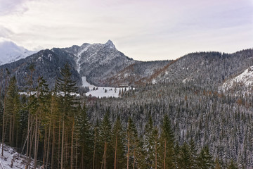 House  in the Forest in Kasprowy Wierch of Zakopane in Tatras in winter