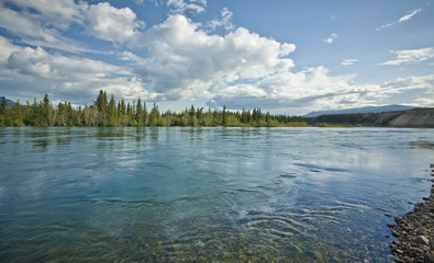flowing yukon river near whitehorse, canada