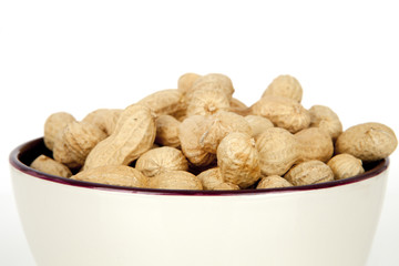 peanuts on a white background with shell