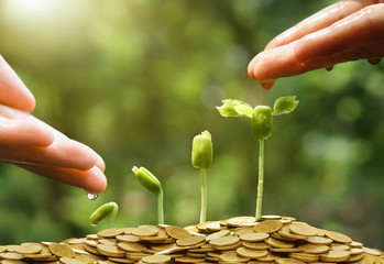 Business with csr practice / Business with environmental concern