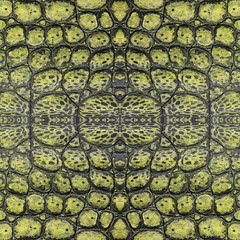 Crocodile skin seamless texture