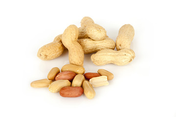 peanuts on a white background with shell