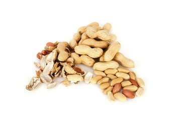 peanuts on a white background with shell