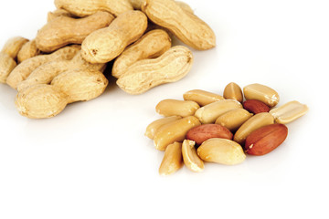 peanuts on a white background with shell