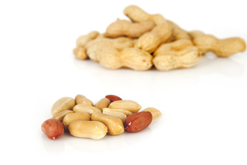 peanuts on a white background with shell