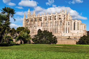 Fototapeta na wymiar Die Kathedrale der Heiligen Maria in der spanischen Hafenstadt Palma, Mallorca