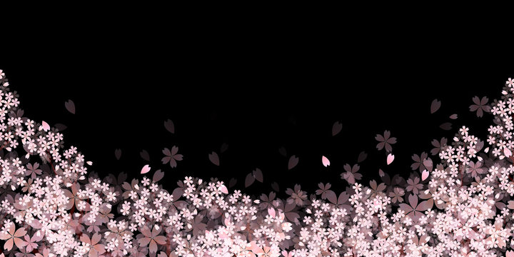 桜　春　花　背景