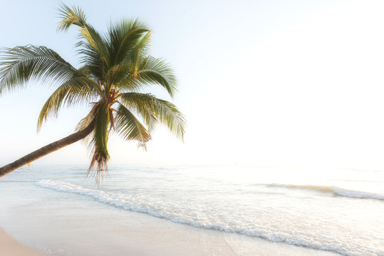 Coconut palm tree with sunrise at Hua Hin Beach,Thailand