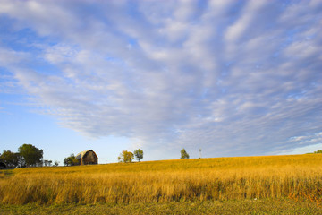 Fototapeta premium Hillside Farm