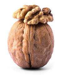 Walnut Isolated On White