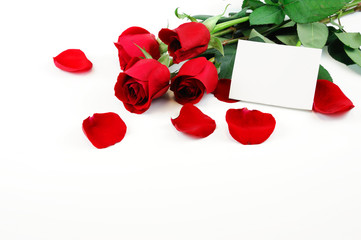 bunch of red roses with petals and blank card ready for text