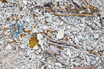 sea trash