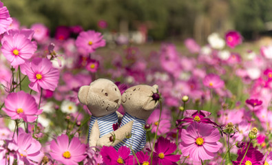 Fototapeta premium Soft focus or Blurred of Bears with heart in garden in background filter Concept in love valentine day