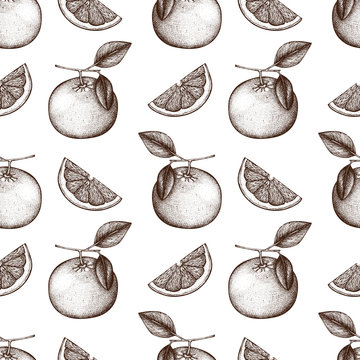 Seamless pattern with ink hand drawn grapefruit fruit, slice and leaves sketch. Vintage citrus background