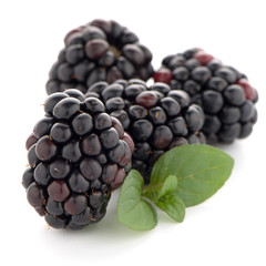 Blackberries with leaves