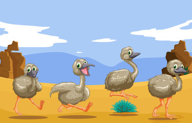 Little ostriches running in the desert