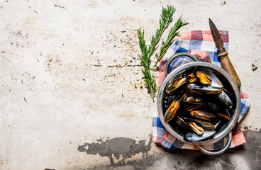 Fresh clams in the bowl with a knife and rosemary.