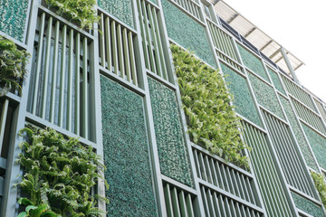 Grüne Fassade, vertikaler Garten in der Architektur