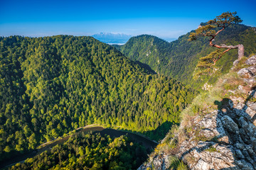 Pieniny-widok z Sokolicy © Janusz Lipiński