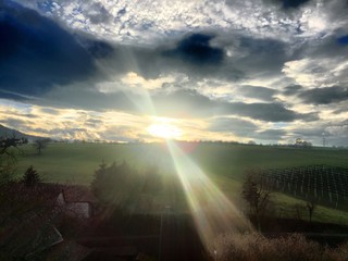 Sonnenuntergang Reben