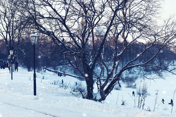 Winter light street and tree