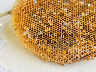 honeycomb with honey.Shallow depth of field.