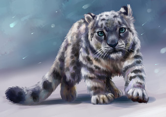 Котенок снежного барса