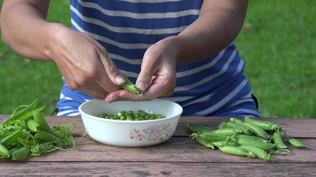 vegetarian girl hands pod shell hull husk green pease in wicker dish on blue wooden table background. Static closeup shot. 4K
