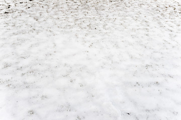 Background from first snow on green grass. - Powered by Adobe