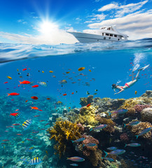 Female freediver floating at coral reef