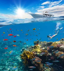 Fotobehang Vrouwelijke freediver drijvend op koraalrif © Jag_cz