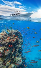Plexiglas foto achterwand Underwater coral reef with horizon and water surface © Jag_cz