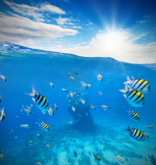 Fototapeta na wymiar Underwater coral reef with horizon and water waves