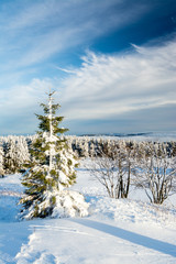 Thüringer Wald - Schneekopf
