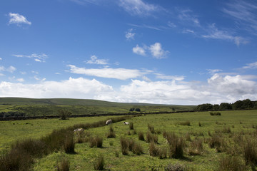 Dartmoor