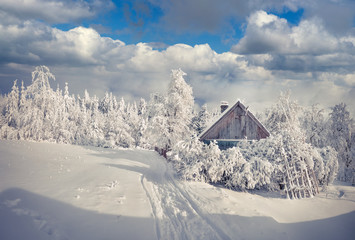 snowfall covered the trees and houses in the mountain village.
