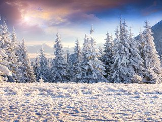 Fototapeta na wymiar Frosty morning scene in the Carpathians mountains.