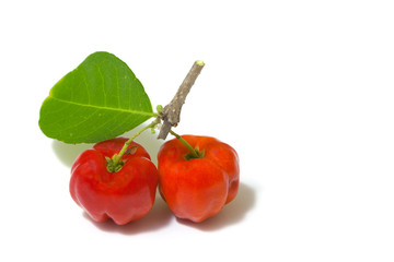 Cherry fruit on white background