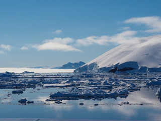 Antarctica iceberg landscape © amheruko