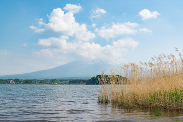 Lake Kawaguchiko in summer, southern Yamanashi Prefecture near Mount Fuji, Japan