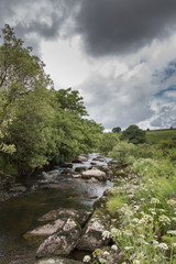 Fototapeta na wymiar Dartmoor