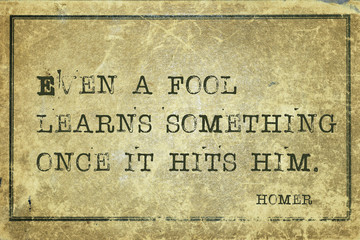 fool learns Homer
