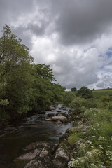 Dartmoor