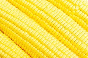 Fresh yellow corn