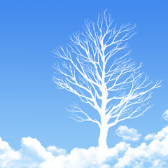 Obraz premium tree on Cloud shaped ,dream concept