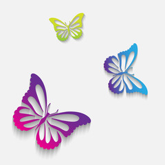 Soaring butterflies on a white background for your design raster