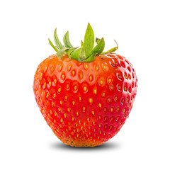 Fresh Strawberry