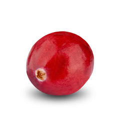 Fresh Cranberry