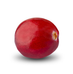 Fresh Cranberry